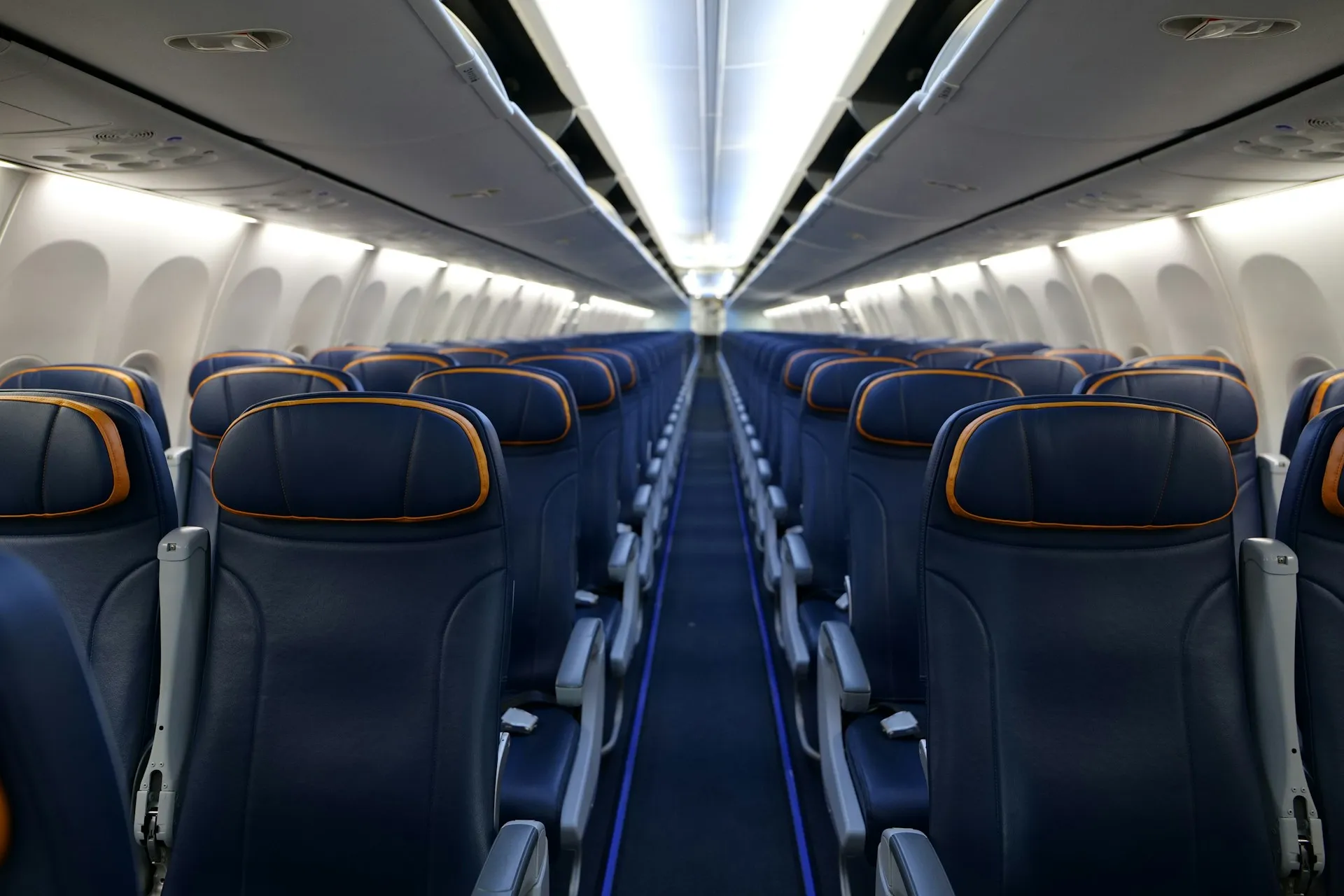 Several rows of empty seats on a plane